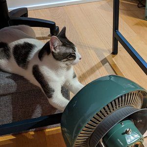 Meet your Posher, Natalie